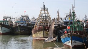 Gemeinsames Fischereigesetz der EU