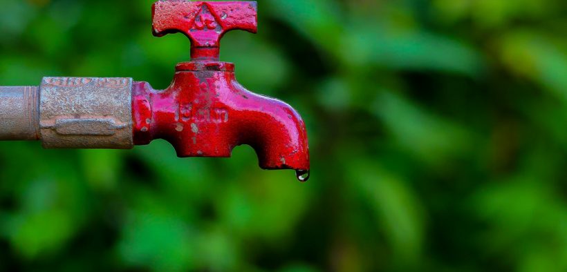 Tricks zum Wassersparen auf Future-Green