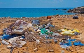 Plastikinseln - Müll am Strand