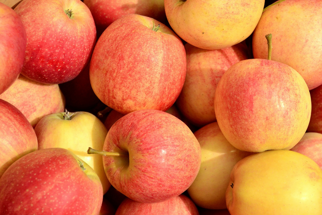 Nachhaltige Ernährung - Äpfel aus der Region